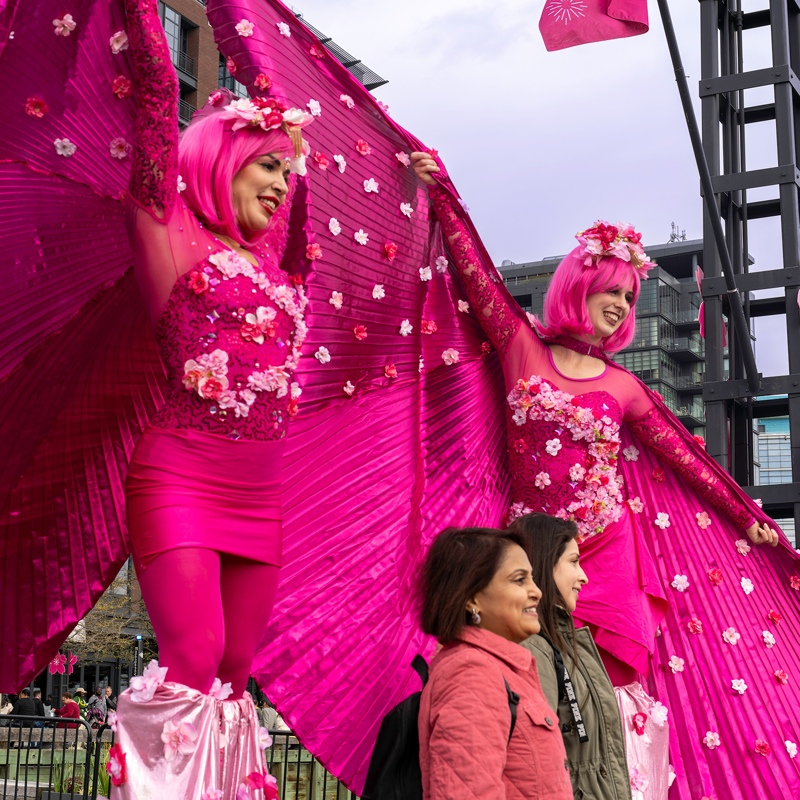 Pink Ladies